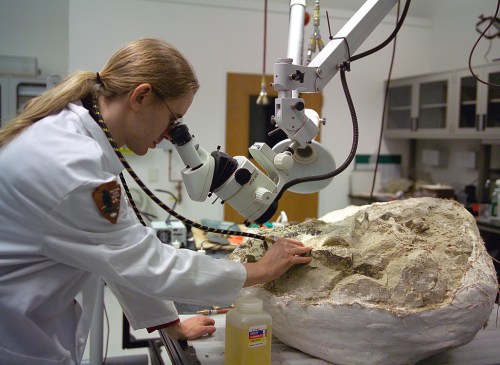 A scientist examines a fossil under a microscope in a laboratory setting.
