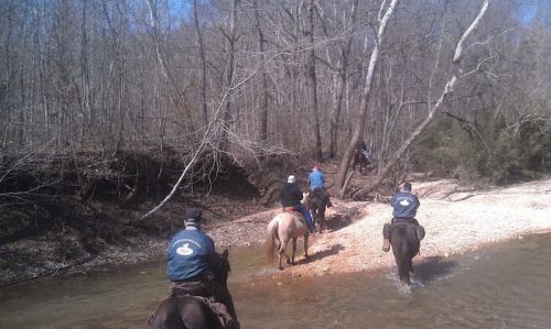 A group of horseback riders crossing a shallow stream in a wooded area on a sunny day.
