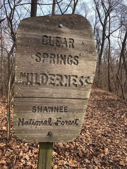 Wooden sign reading "Clear Springs Wilderness" in Shawnee National Forest, surrounded by bare trees and fallen leaves.