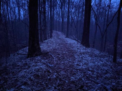 A dimly lit forest path surrounded by trees, with frost-covered grass and fallen leaves under a twilight sky.