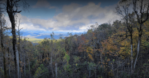 A scenic view of a forest with autumn foliage and distant mountains under a cloudy sky.