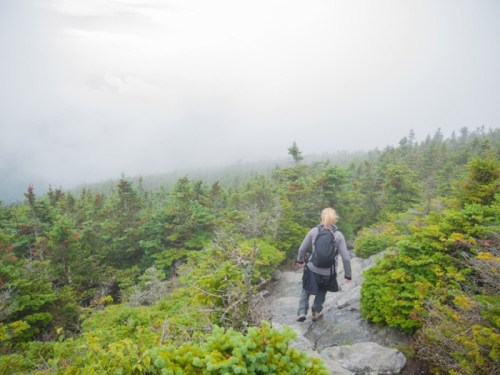 A person walks along a rocky path through a misty forest, surrounded by lush green trees.