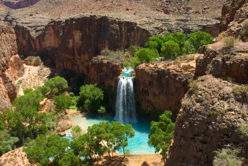 A stunning waterfall cascades into a turquoise pool, surrounded by lush greenery and rocky cliffs in a desert landscape.