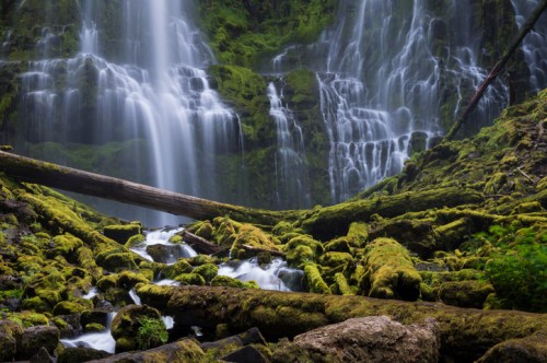 A serene waterfall cascades over moss-covered rocks, surrounded by lush greenery and fallen logs.