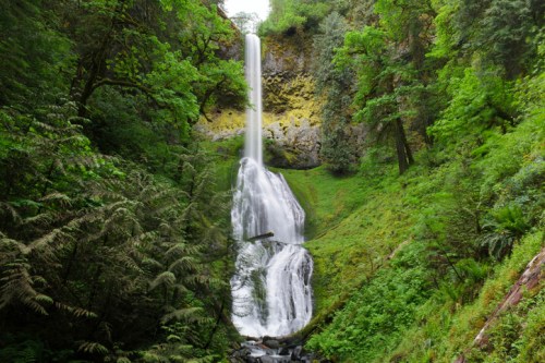 A stunning waterfall cascades down a lush, green hillside surrounded by dense trees and foliage.