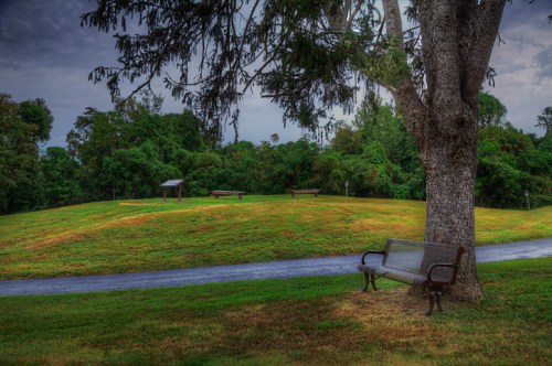 A serene park scene featuring a tree, grassy hill, benches, and a winding path under a cloudy sky.