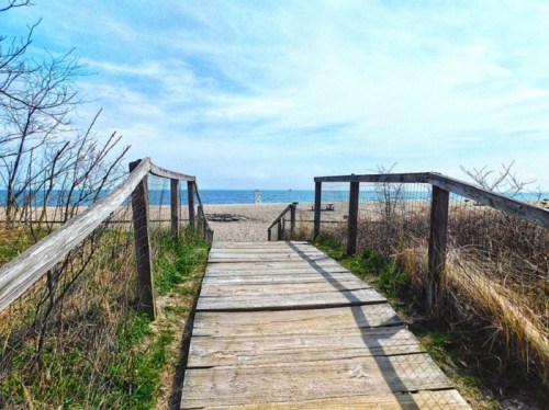 A wooden walkway leads to a sandy beach under a clear blue sky, surrounded by grass and sparse trees.