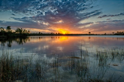 Sunset over a calm lake, with vibrant clouds reflecting on the water and surrounding tall grasses.