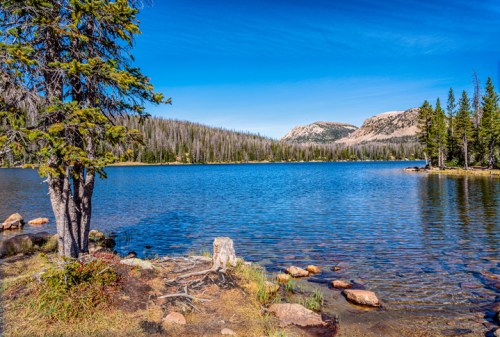 A serene lake surrounded by trees and mountains under a clear blue sky, with rocks along the water's edge.