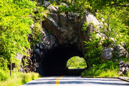A scenic view of a road leading through a rocky tunnel, surrounded by lush green trees and foliage.