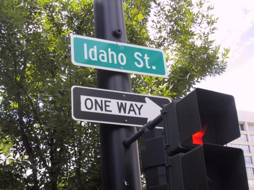 Street sign for Idaho St. with a one-way arrow, surrounded by green foliage and a traffic light showing red.