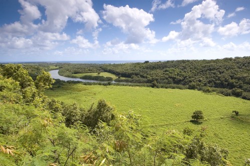 Lush green landscape with a winding river under a blue sky with fluffy clouds.