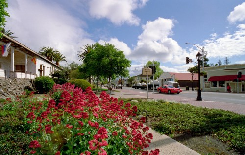 A vibrant street scene with blooming flowers, palm trees, and a red car under a partly cloudy sky.