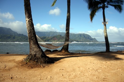 A serene beach scene with a hammock between palm trees, overlooking the ocean and mountains in the background.