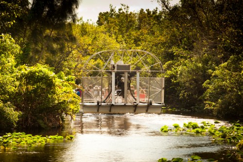 An airboat glides through a lush, green wetland, surrounded by trees and lily pads under a bright sky.