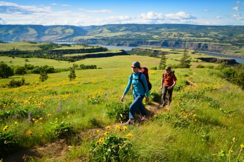 Two hikers trek along a flower-filled trail with a scenic view of hills and a river in the background.