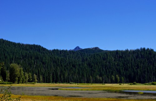 A serene landscape featuring a clear blue sky, lush green forests, and a calm pond surrounded by mountains.