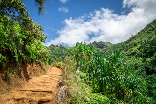 A scenic hiking trail winds through lush greenery and mountains under a bright blue sky with scattered clouds.