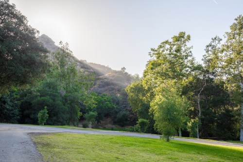 A serene landscape featuring green trees and a winding path, with mountains in the background under a clear sky.