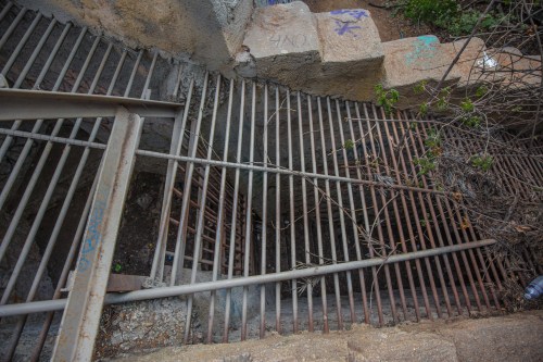 A view of a rusted metal grate covering a dark, overgrown area with graffiti on surrounding concrete.