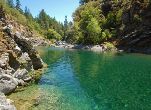 A serene river flows through a rocky landscape, surrounded by lush green trees under a clear blue sky.