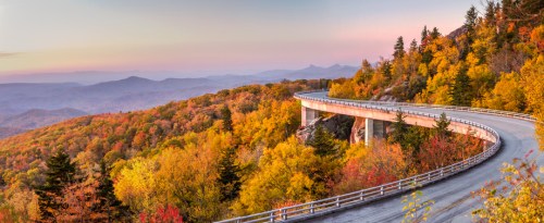 A winding road curves through vibrant autumn foliage, with mountains in the background under a pastel sky.