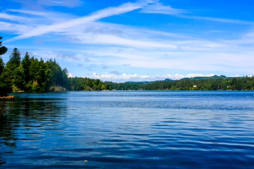 A serene lake surrounded by lush green trees under a bright blue sky with scattered clouds.