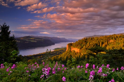 A scenic view of a river valley at sunset, with vibrant flowers in the foreground and mountains in the background.