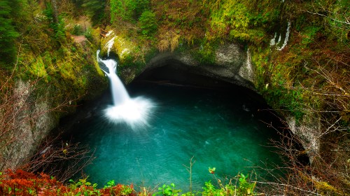 A serene waterfall cascades into a turquoise pool, surrounded by lush green foliage and rocky cliffs.