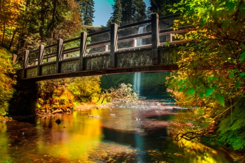 A wooden bridge spans a serene river surrounded by lush greenery and a waterfall in a vibrant forest setting.