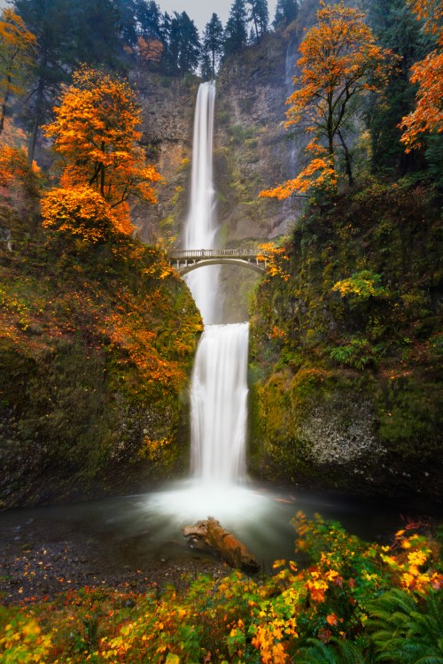 A stunning waterfall cascades down rocky cliffs, surrounded by vibrant autumn foliage and a bridge above.