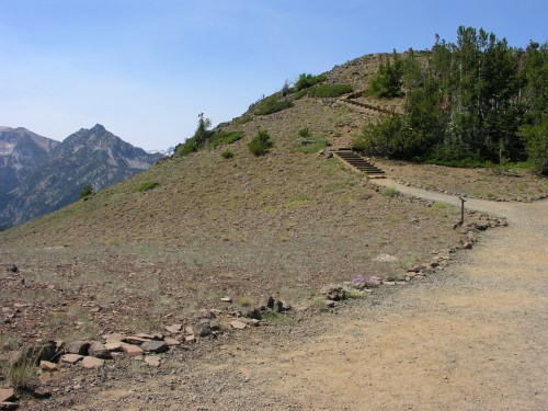 A winding dirt path leads up a grassy hillside with scattered trees and mountains in the background under a clear blue sky.