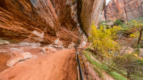 A winding dirt path surrounded by towering red rock formations and vibrant green trees in a canyon.