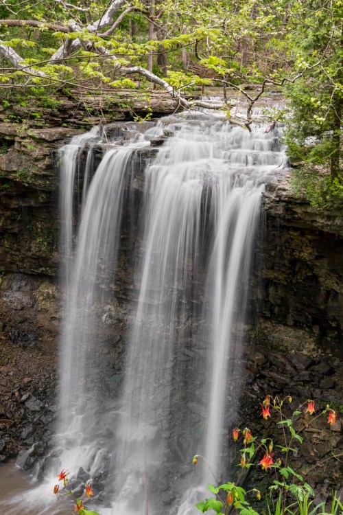 A serene waterfall cascades over rocky cliffs, surrounded by lush greenery and blooming flowers.