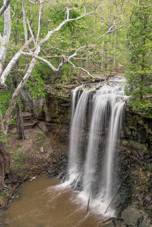 A serene waterfall cascades over rocks into a calm pool, surrounded by lush green trees and a peaceful forest setting.