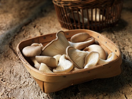 A wooden basket filled with fresh, light-colored mushrooms on a textured surface.