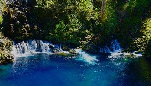 A serene blue pool surrounded by lush greenery and gentle waterfalls cascading over rocks.
