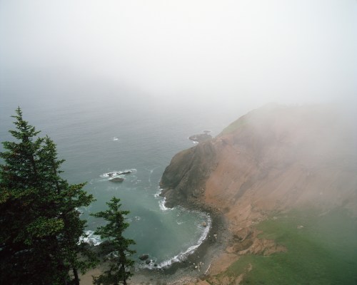 Foggy coastal landscape with rocky cliffs and a serene ocean view, framed by evergreen trees.