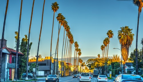 A street lined with tall palm trees under a clear blue sky, with cars driving along the road at sunset.