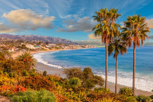 A scenic view of a beach with palm trees, colorful plants, and a coastline under a blue sky with clouds.