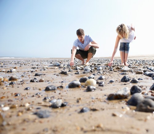 Two people crouch on a sandy beach, collecting small stones and shells among scattered rocks under a clear blue sky.