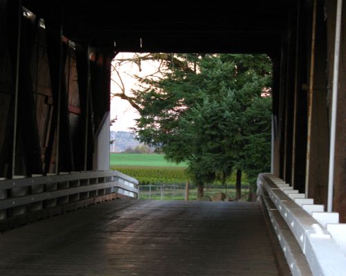 View through a covered bridge, leading to a green field and a large tree in the distance, with soft evening light.