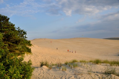 A sandy dune landscape with people walking in the distance, surrounded by sparse vegetation and a blue sky.