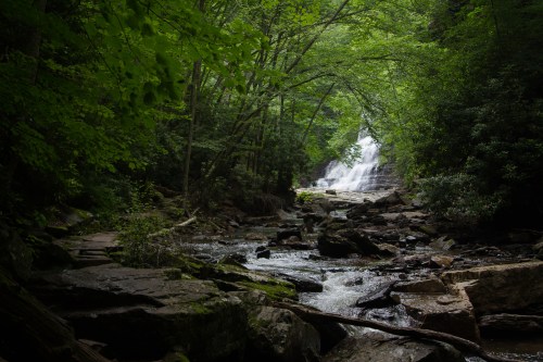 A serene forest scene featuring a waterfall cascading through lush greenery and rocky terrain.