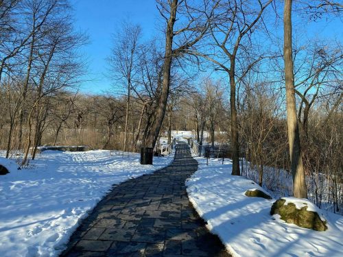 A snow-covered path winds through a park, lined with bare trees under a clear blue sky.
