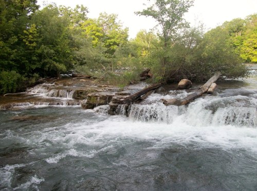 A serene river scene with cascading waterfalls, surrounded by lush greenery and fallen logs.