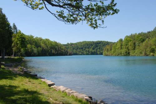 A serene lake surrounded by lush green trees under a clear blue sky.