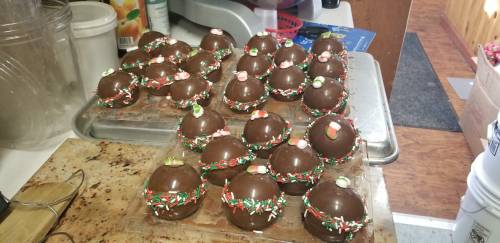 A tray of chocolate-covered holiday treats decorated with colorful sprinkles and small candies, arranged neatly on a countertop.