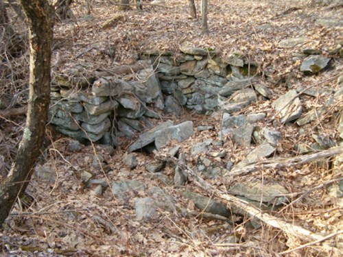 A partially collapsed stone structure surrounded by dry leaves and trees in a wooded area.
