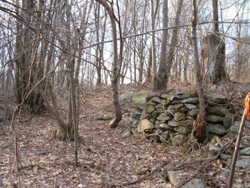 A rocky wall in a wooded area with bare trees and fallen leaves on the ground, indicating early spring or late fall.